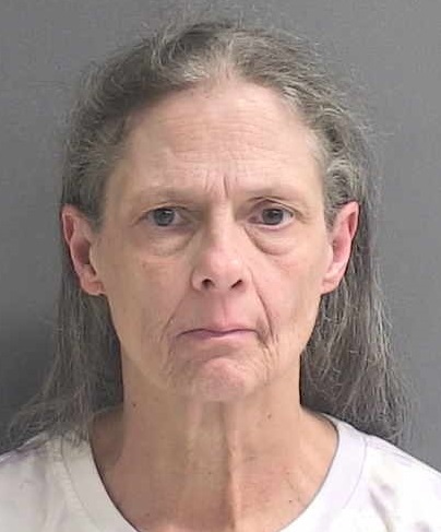 VSO Deputies Charge Pierson Woman With Neglecting 2 Boys in Filthy Home Image