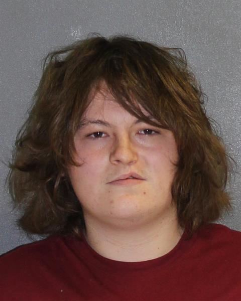 DeLand Man, 19, Charged In Sexual Abuse Of 2 Children Image